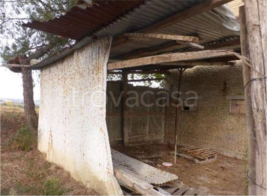 immagine annuncio 4 di 14