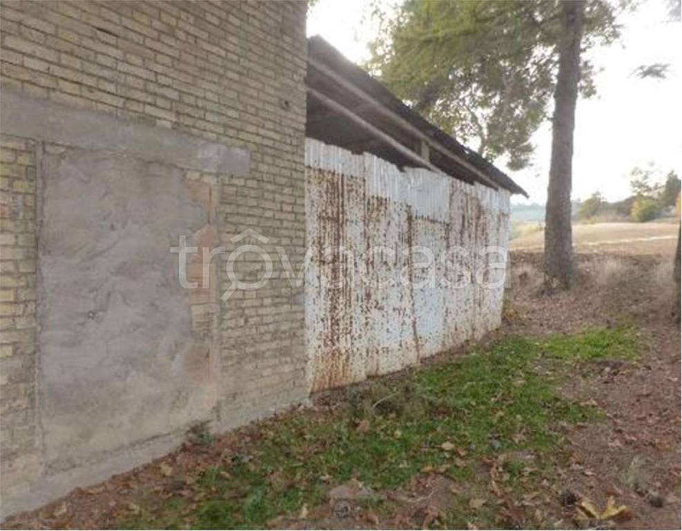 immagine annuncio 5 di 14