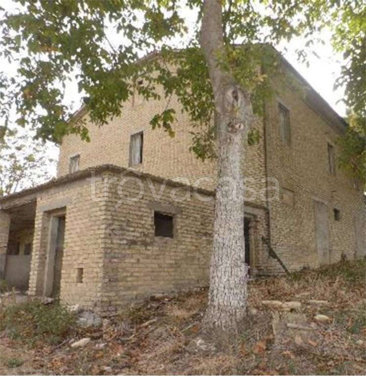 immagine annuncio 7 di 14