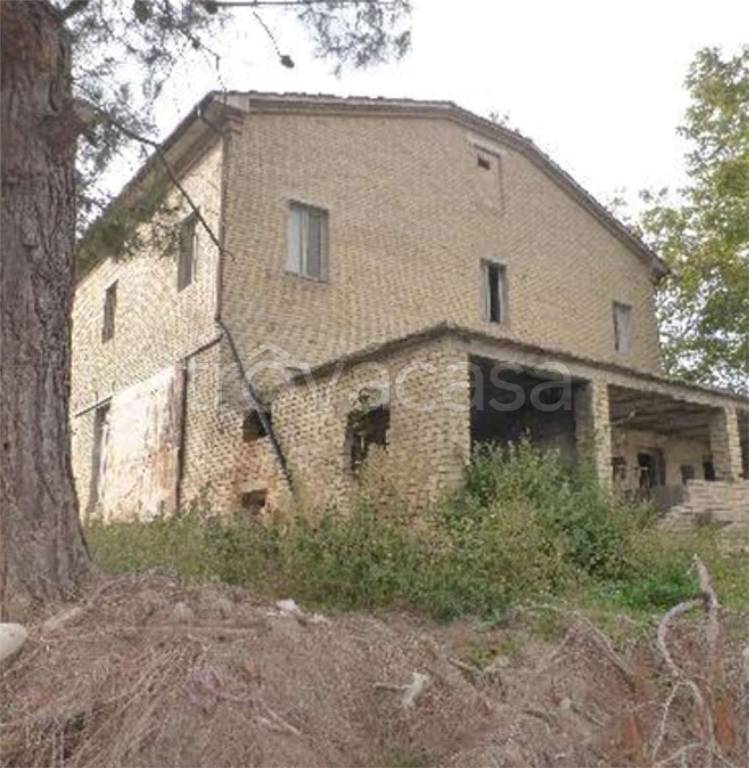 immagine annuncio 8 di 14