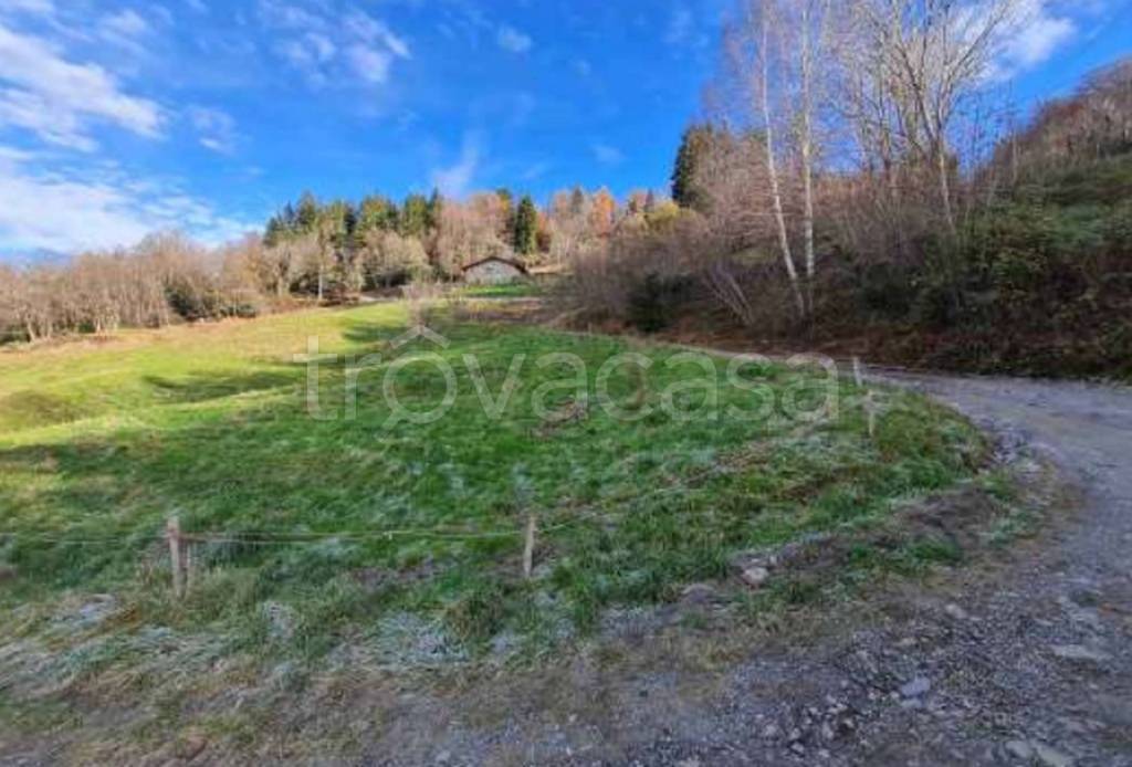 immagine annuncio 7 di 12