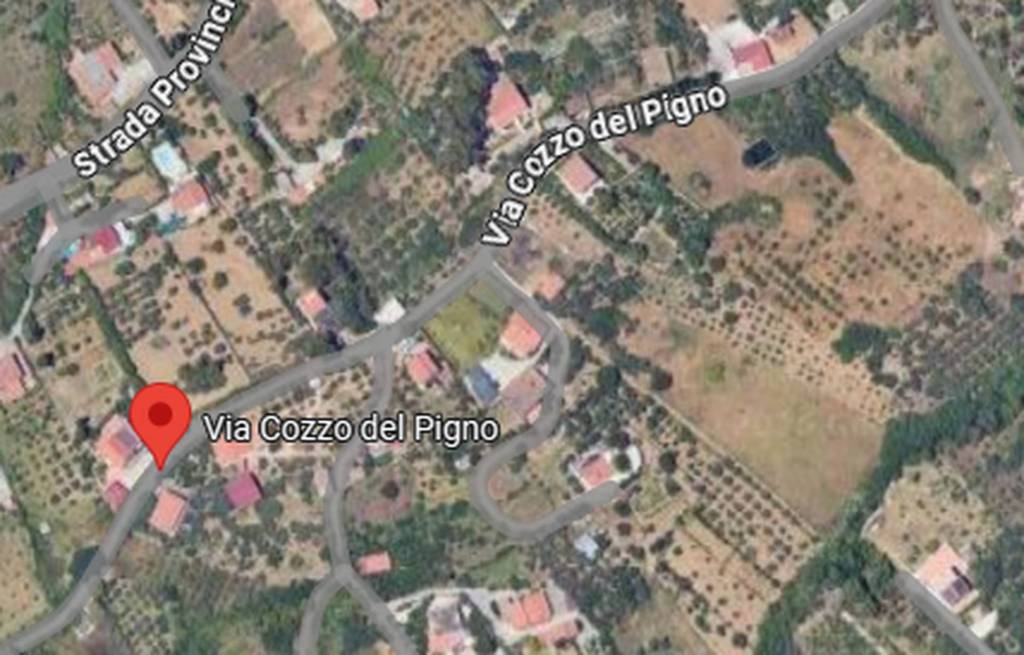 immagine annuncio 9 di 12