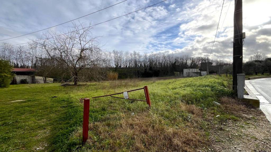 immagine annuncio 5 di 9