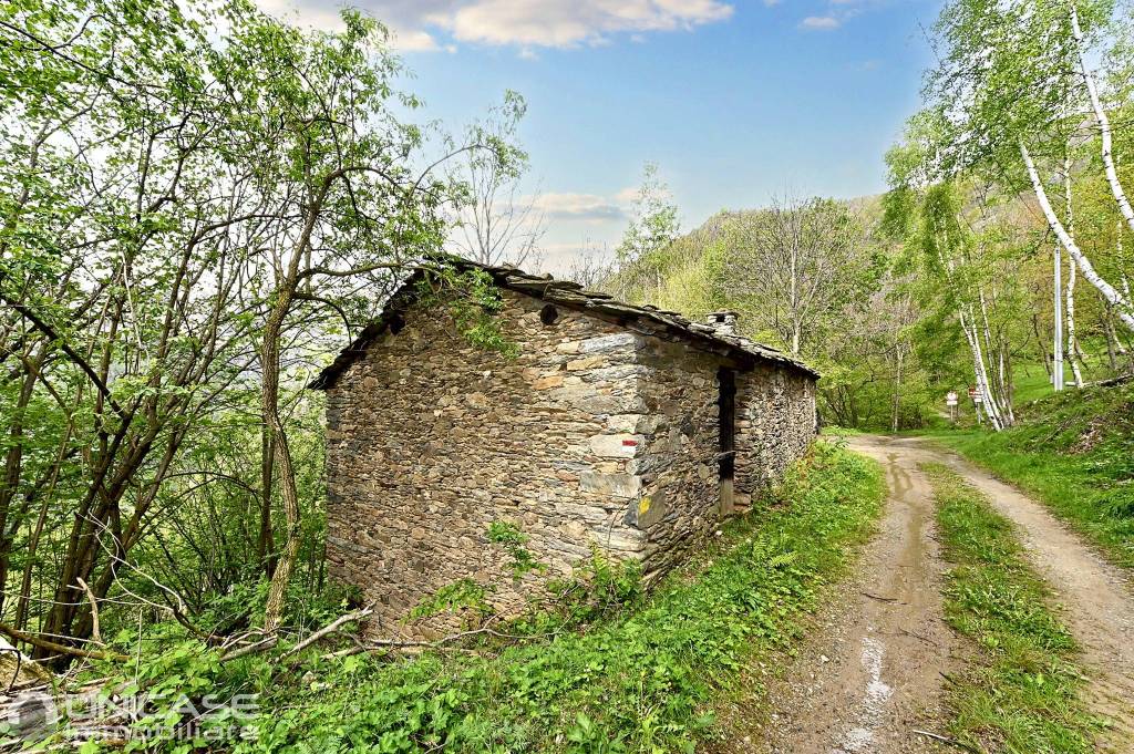 immagine annuncio 7 di 8