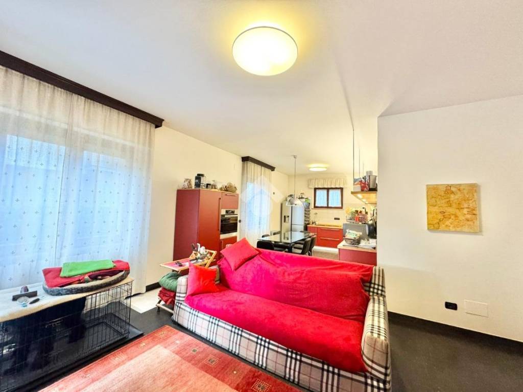 immagine annuncio 12 di 15