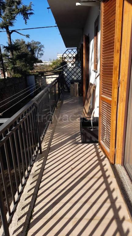 immagine annuncio 12 di 14