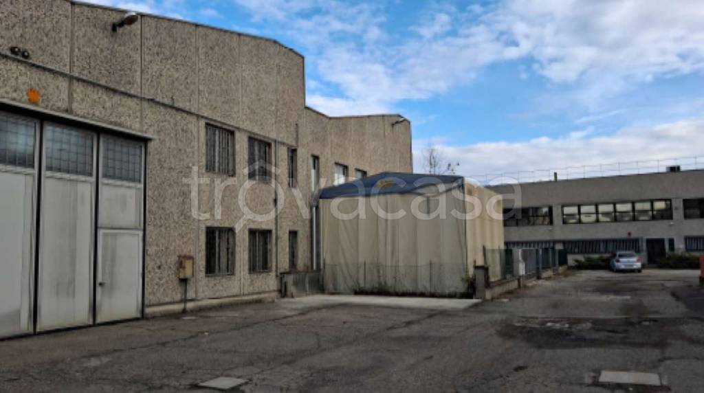 immagine annuncio 4 di 15