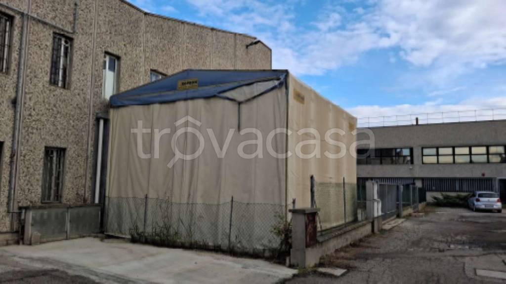 immagine annuncio 5 di 15