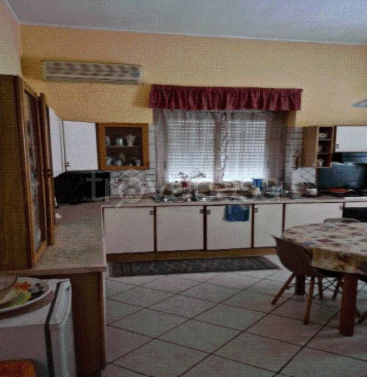 immagine annuncio 3 di 14