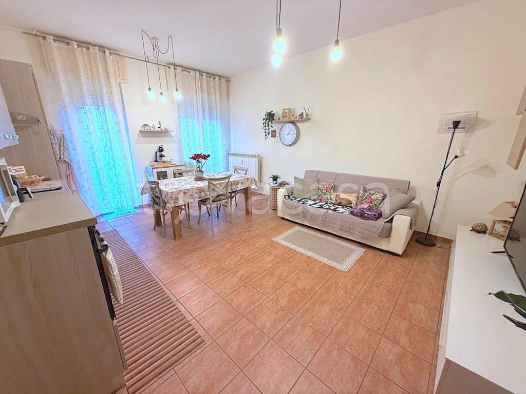 immagine annuncio 2 di 14