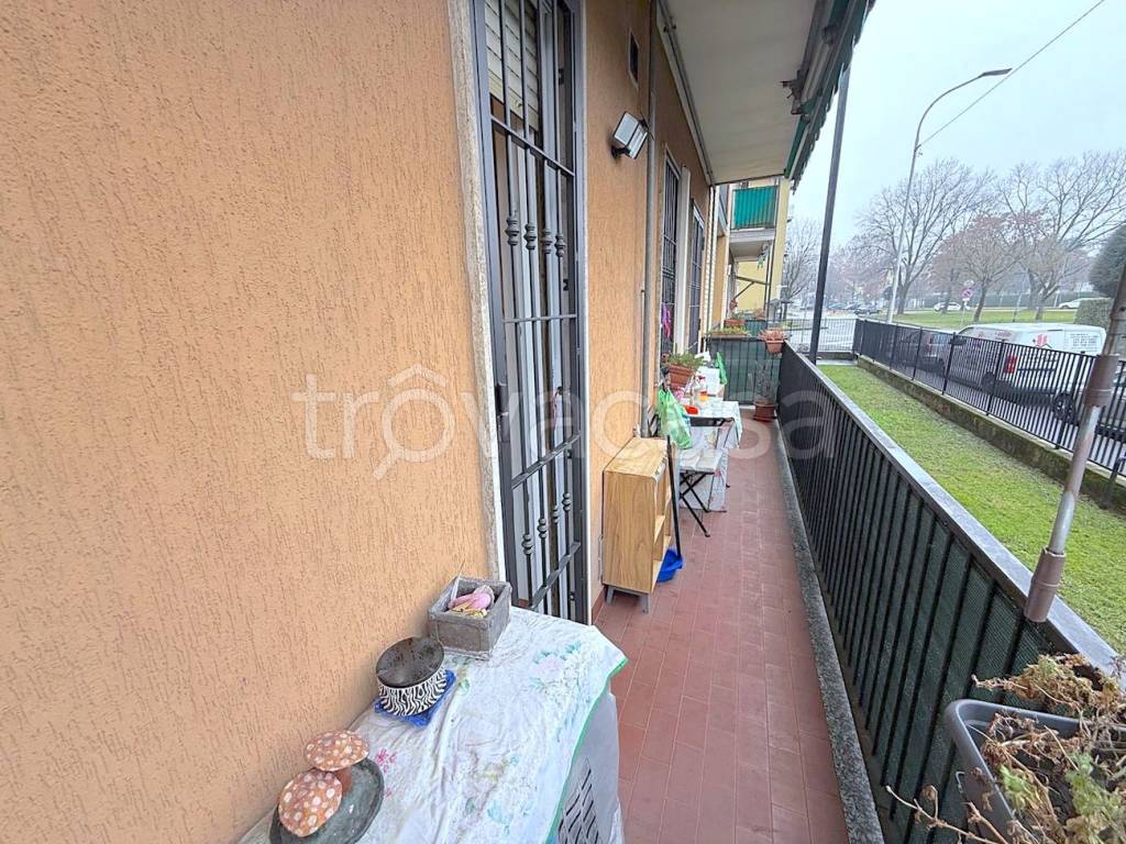 immagine annuncio 6 di 14