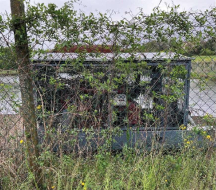 immagine annuncio 11 di 15