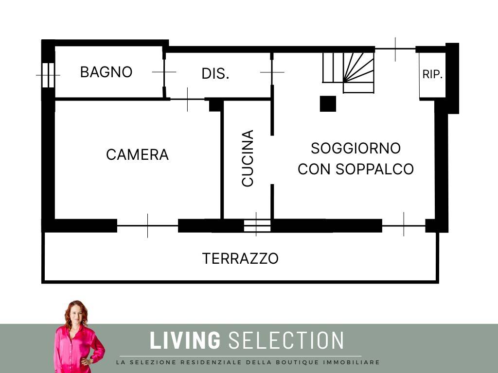 immagine annuncio 12 di 15