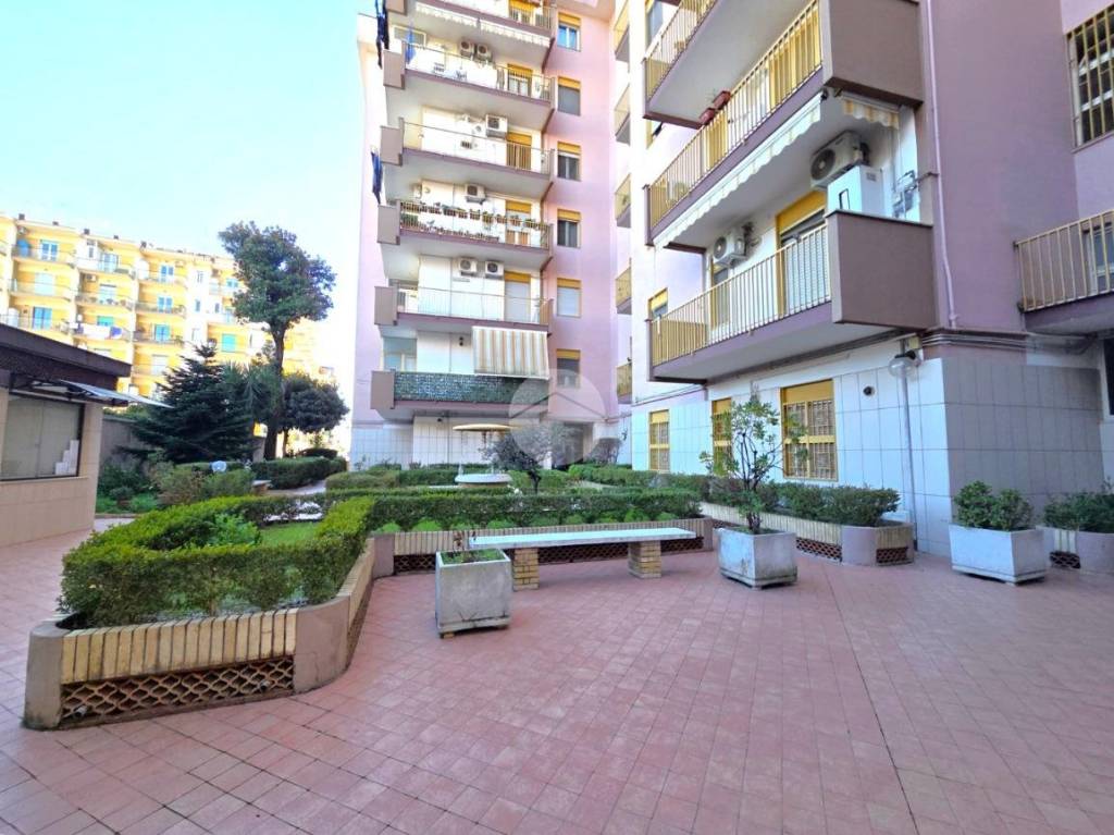 immagine annuncio 9 di 11