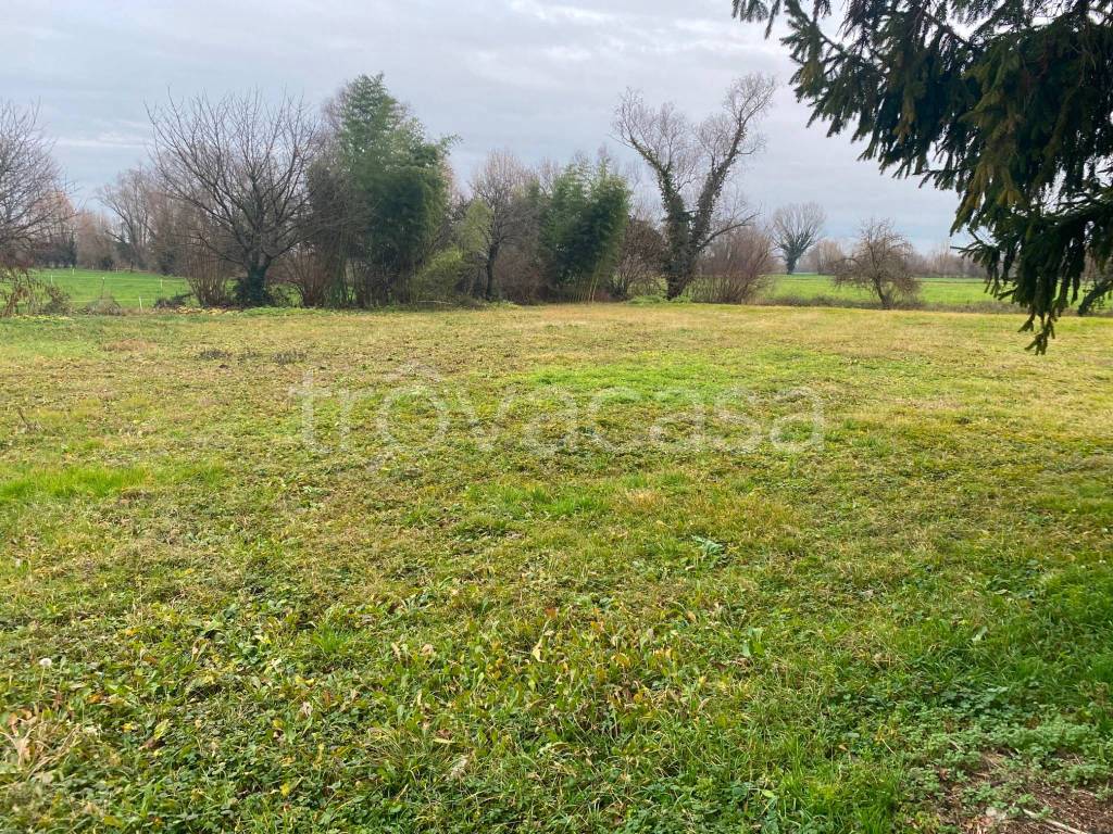 immagine annuncio 7 di 8