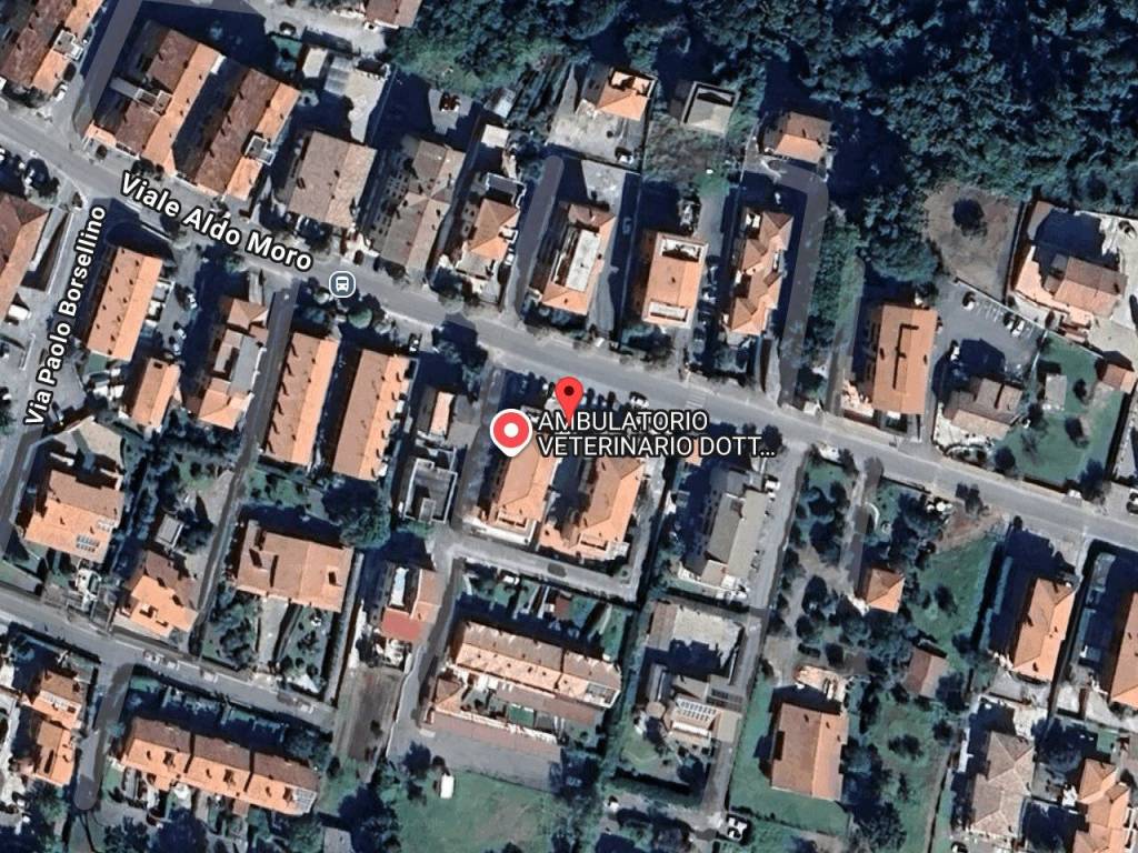 immagine annuncio 2 di 4