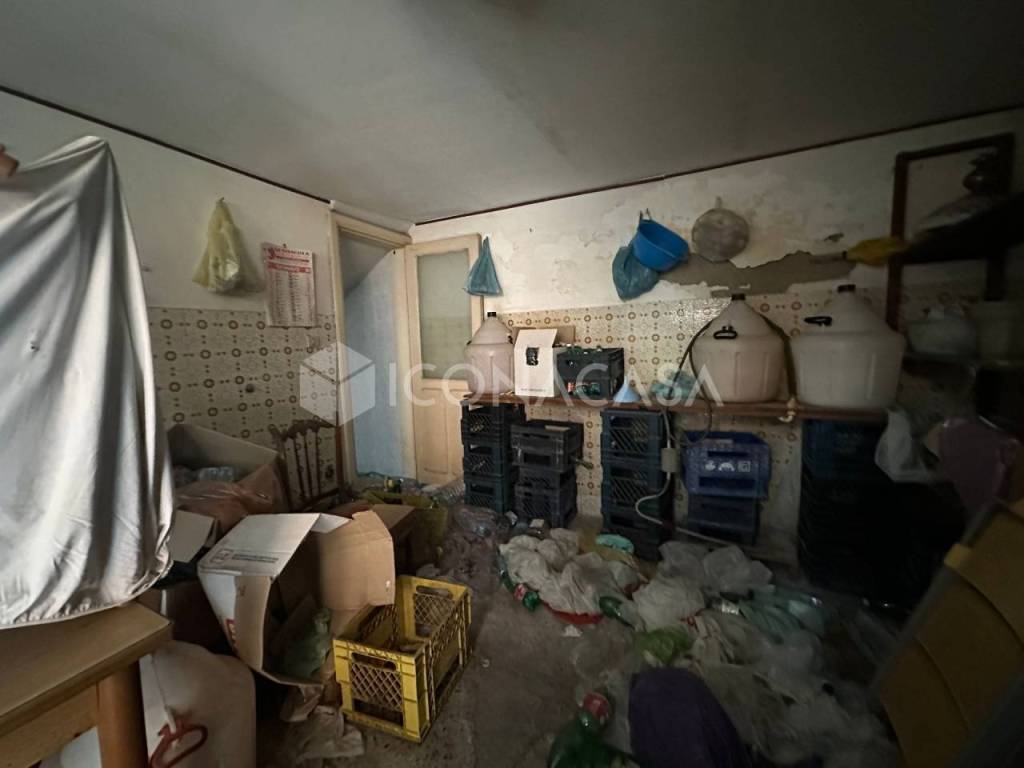 immagine annuncio 7 di 14