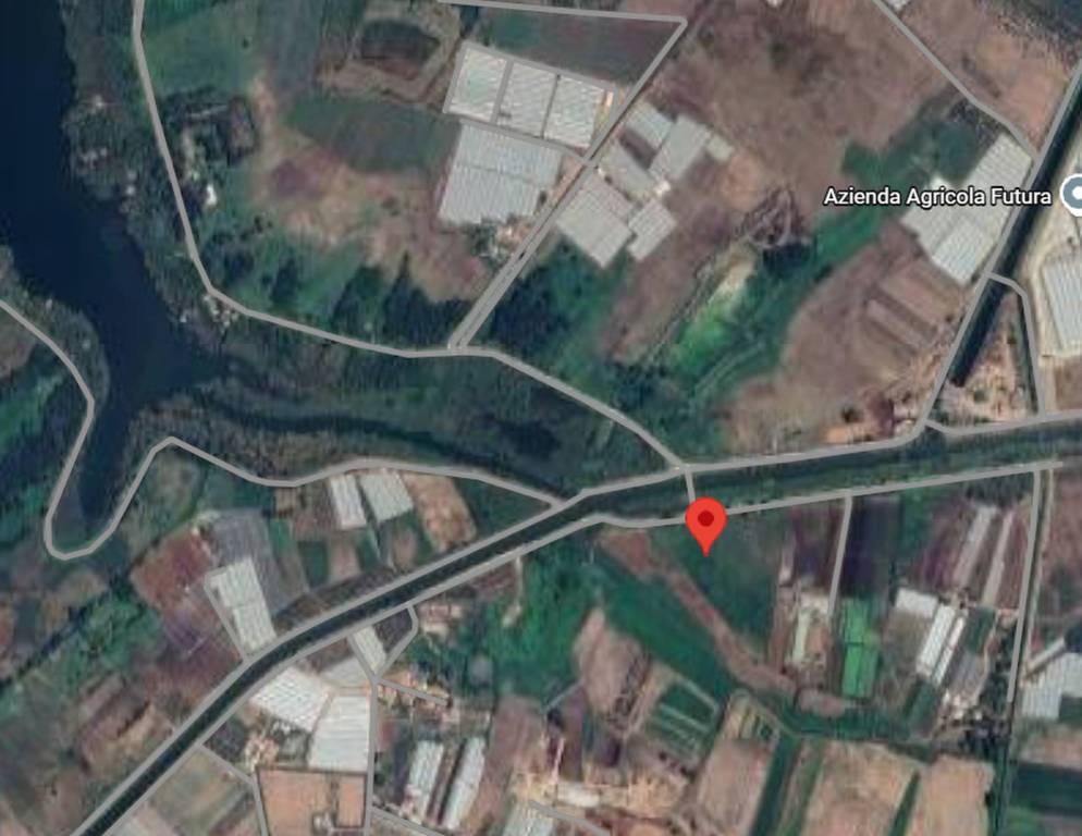 immagine annuncio 10 di 12