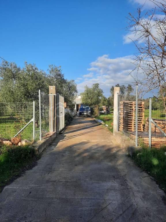 immagine annuncio 1 di 7