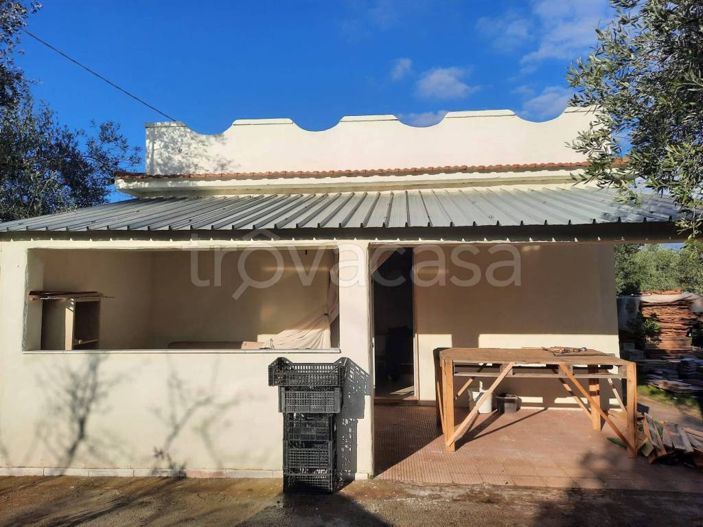 immagine annuncio 2 di 7