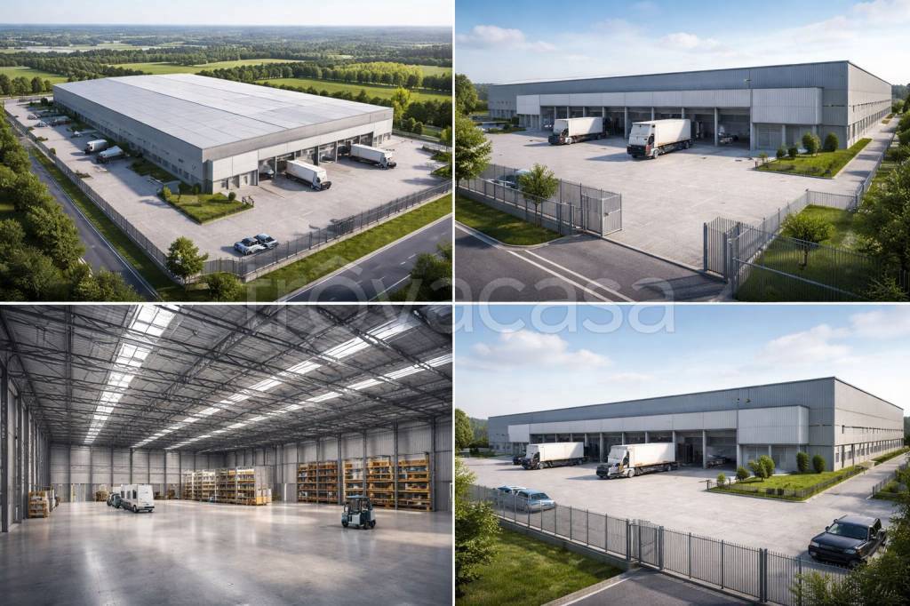 immagine annuncio 1 di 2