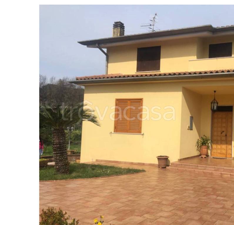 immagine annuncio 9 di 11