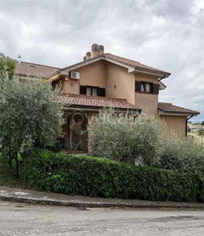 immagine annuncio 2 di 13