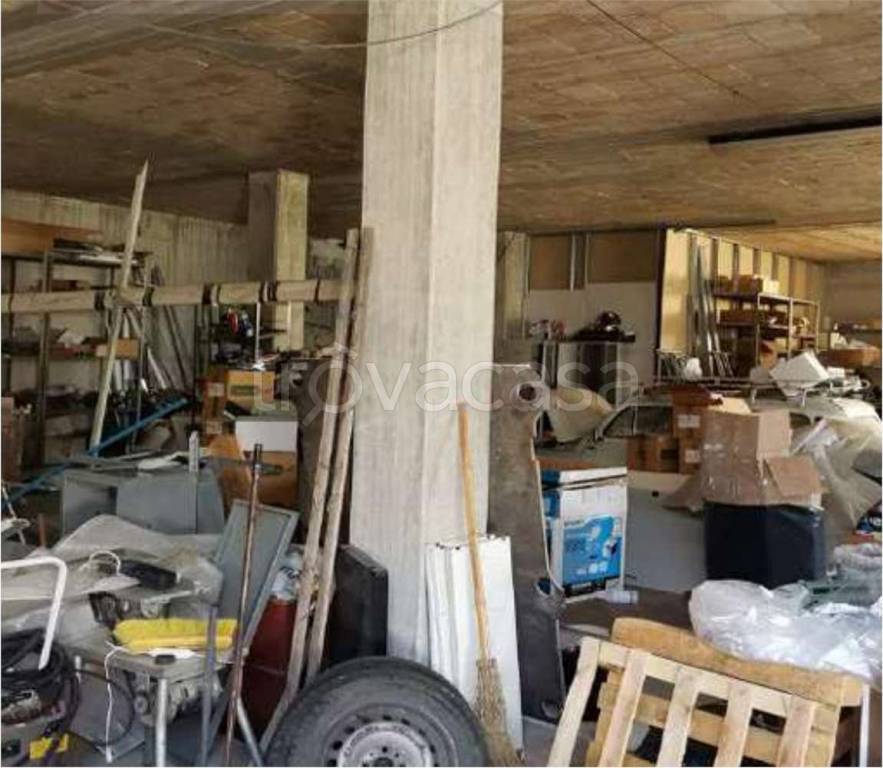 immagine annuncio 8 di 13