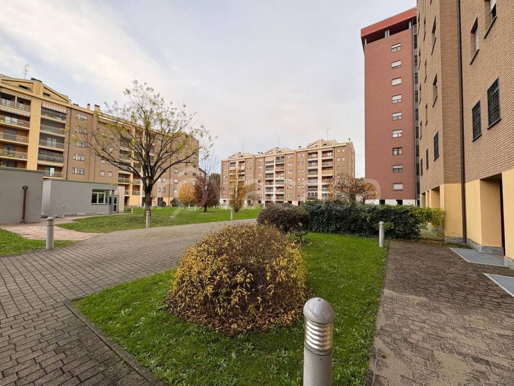 immagine annuncio 14 di 15