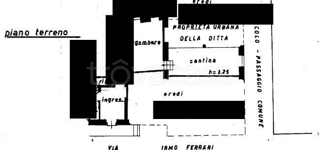 immagine annuncio 11 di 14