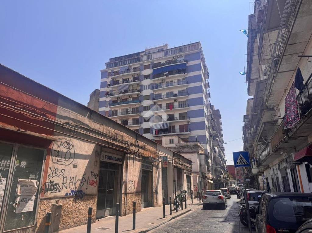 immagine annuncio 1 di 13