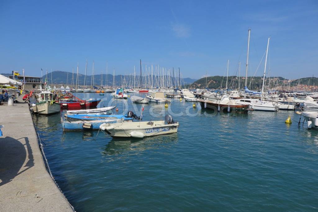 immagine annuncio 10 di 11