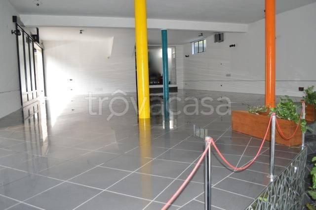 immagine annuncio 4 di 12