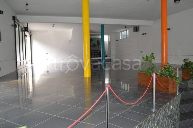 immagine annuncio 9 di 12