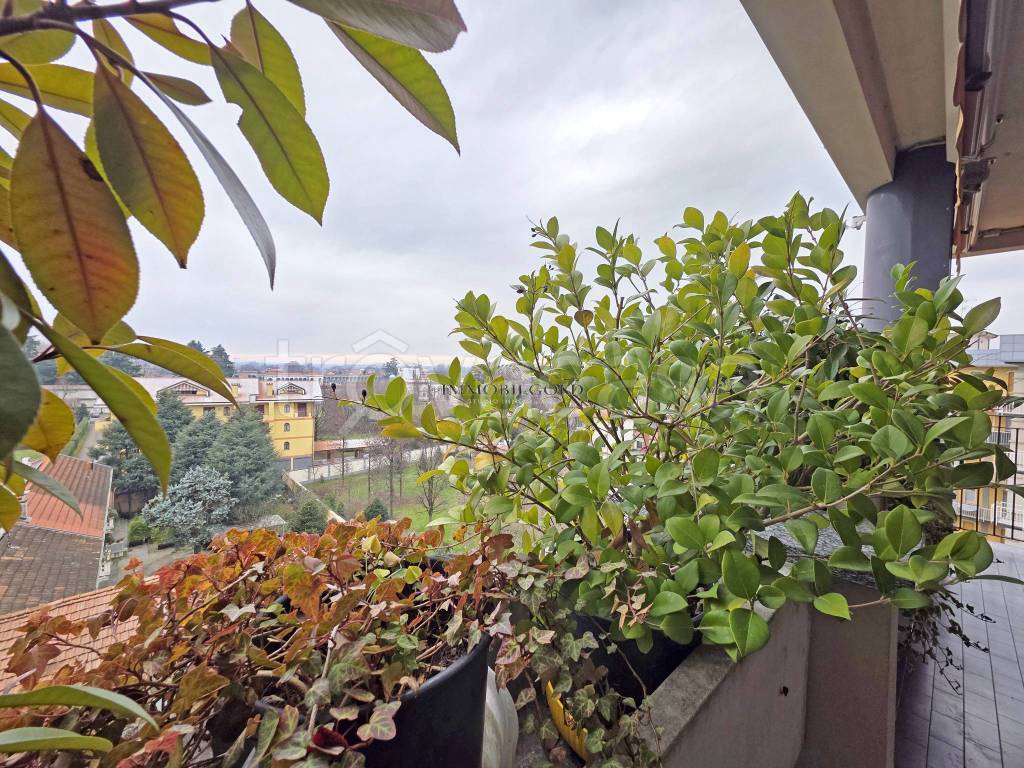 immagine annuncio 5 di 14