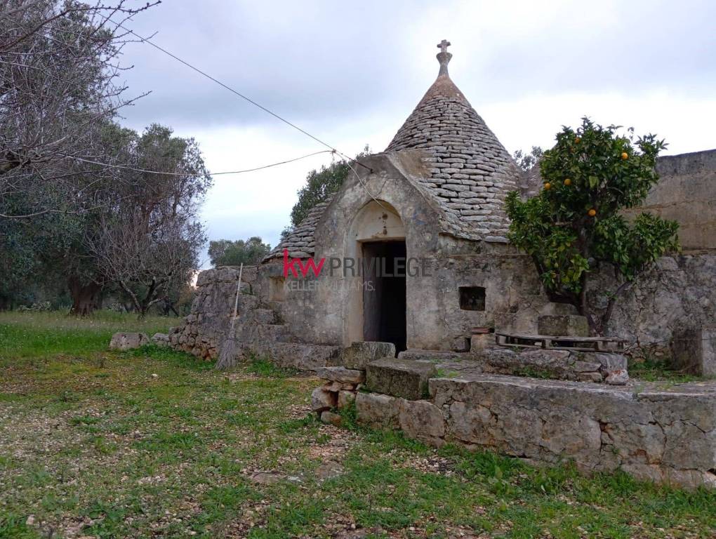 immagine annuncio 1 di 9