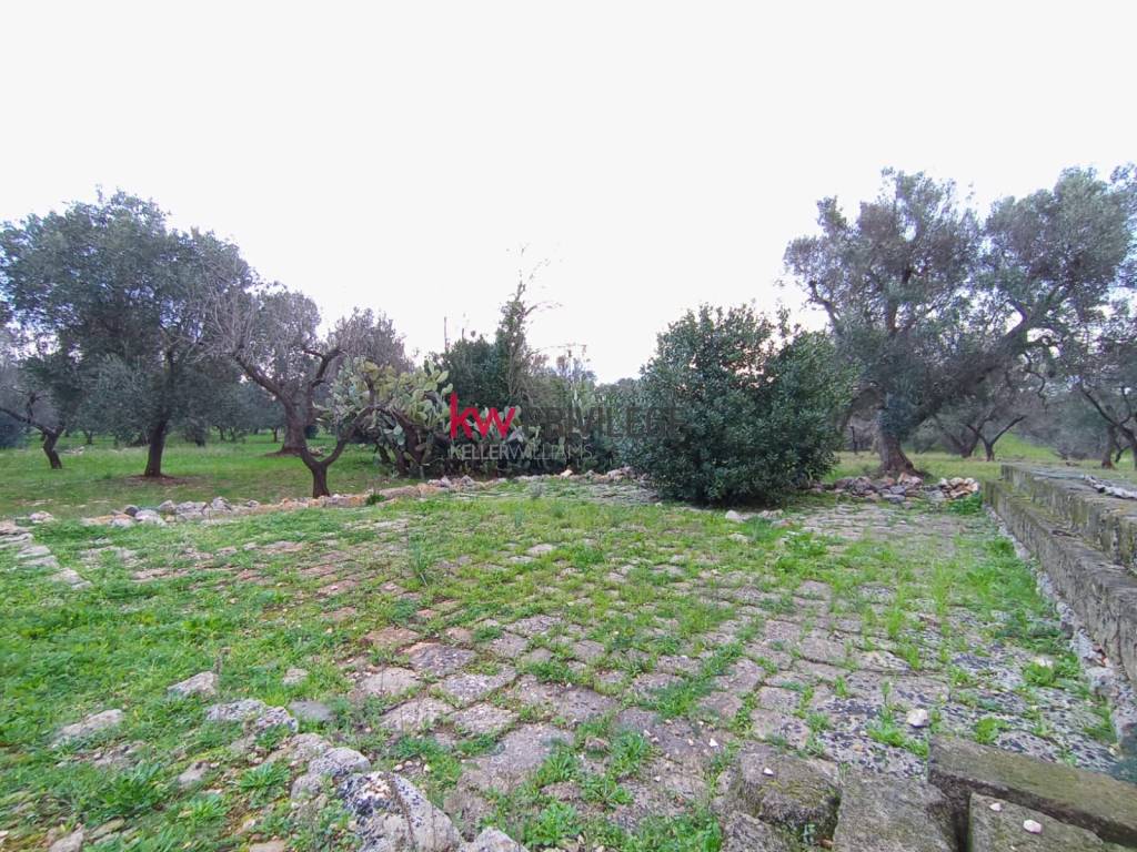 immagine annuncio 3 di 9