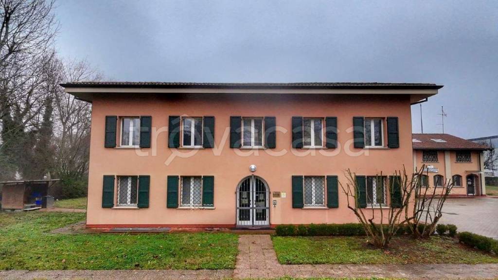 immagine annuncio 7 di 15