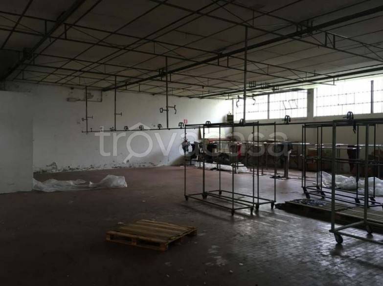 immagine annuncio 3 di 14