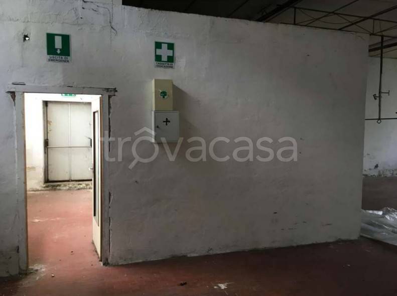 immagine annuncio 6 di 14