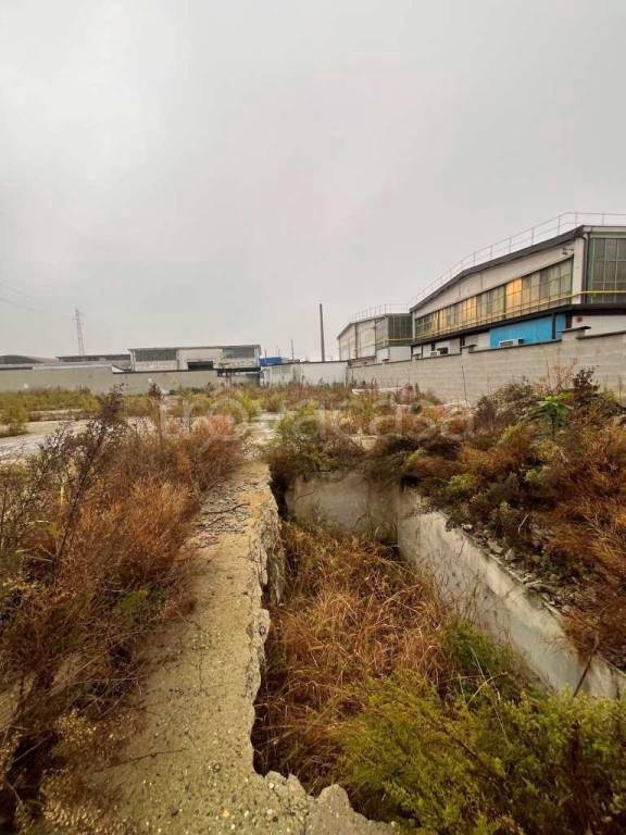 immagine annuncio 7 di 13