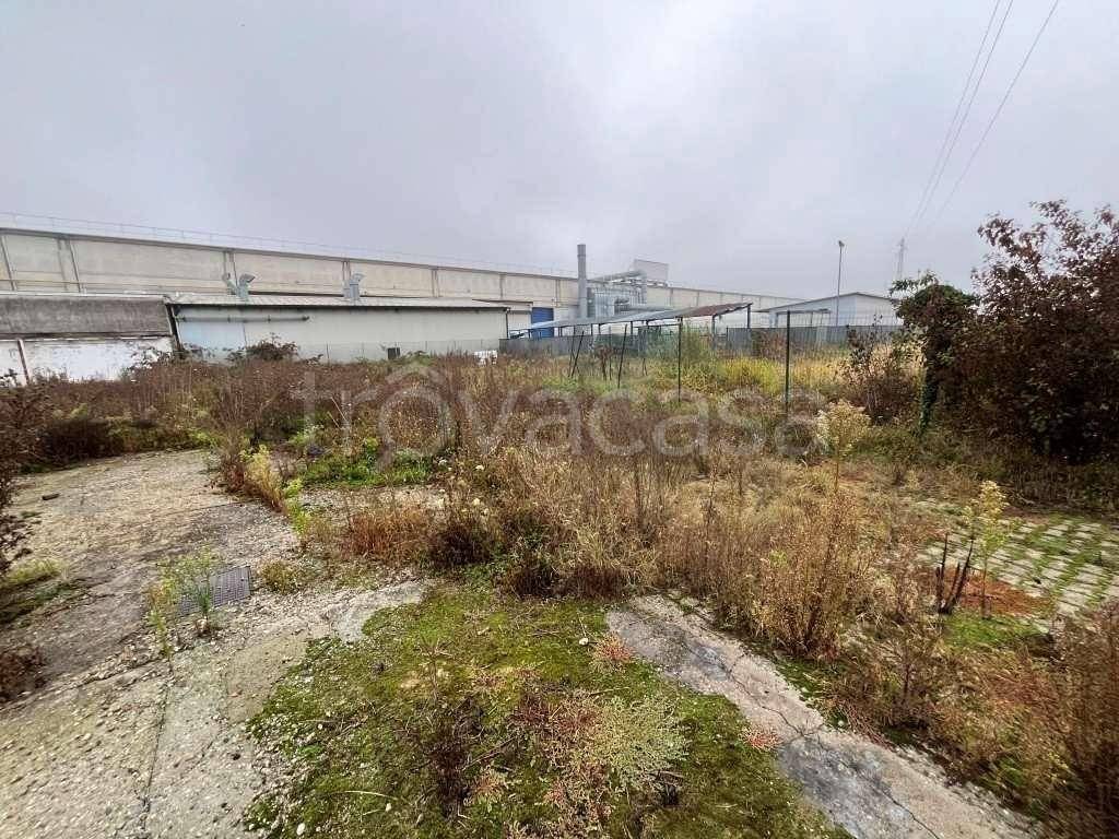 immagine annuncio 8 di 13