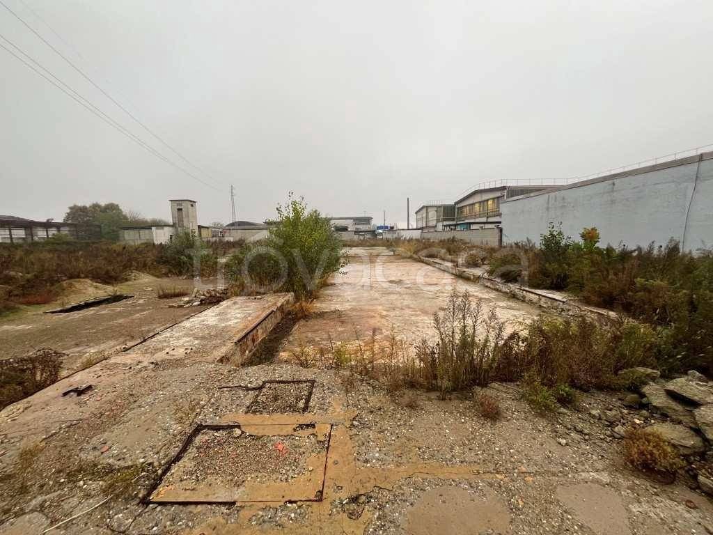 immagine annuncio 12 di 13