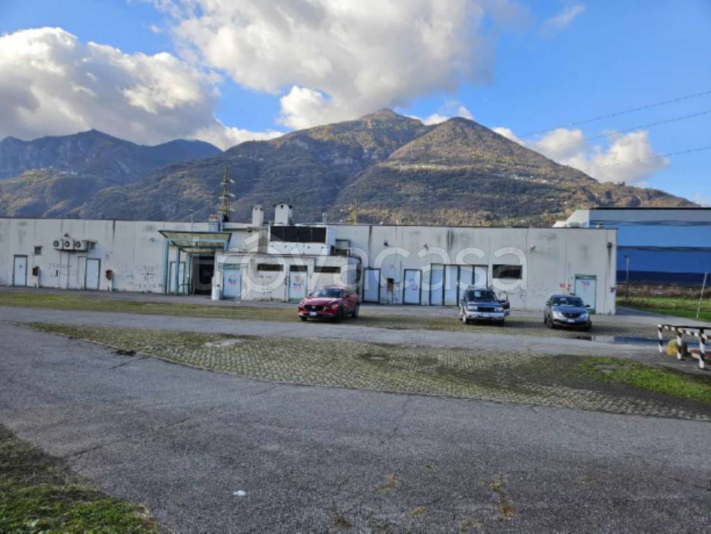 immagine annuncio 7 di 15