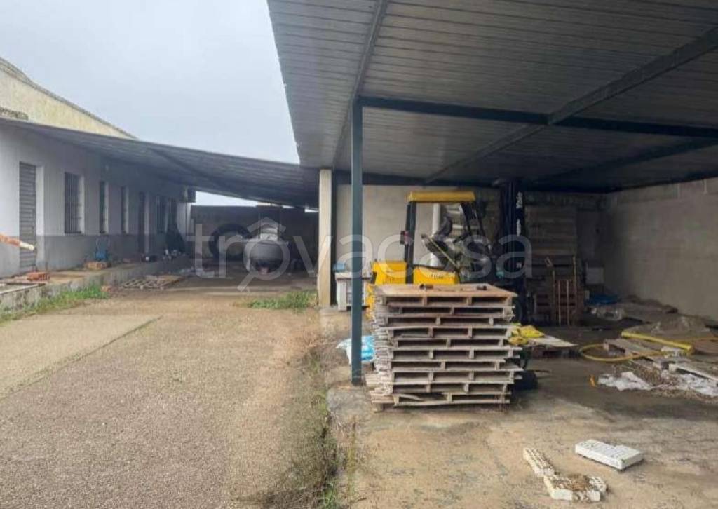 immagine annuncio 5 di 12