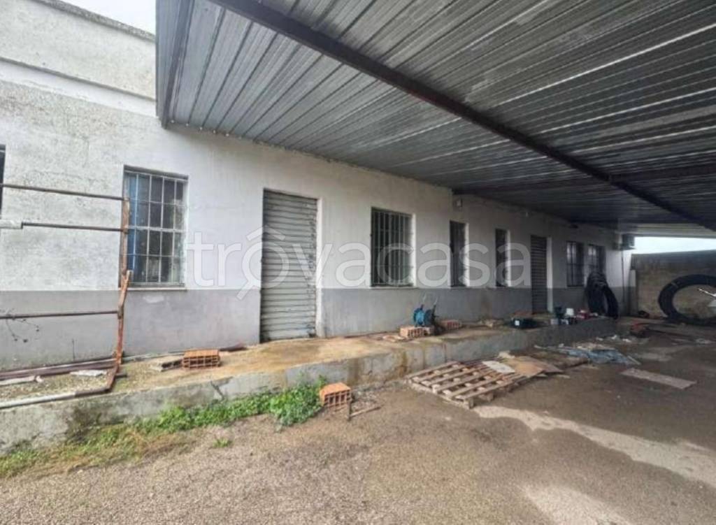 immagine annuncio 6 di 12