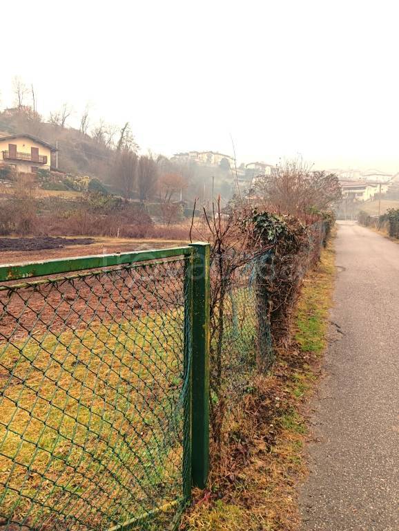 immagine annuncio 2 di 14