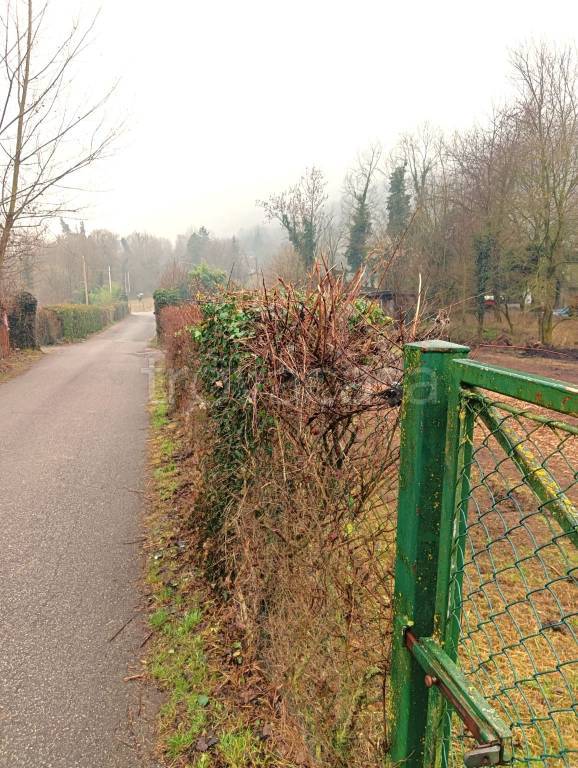 immagine annuncio 3 di 14