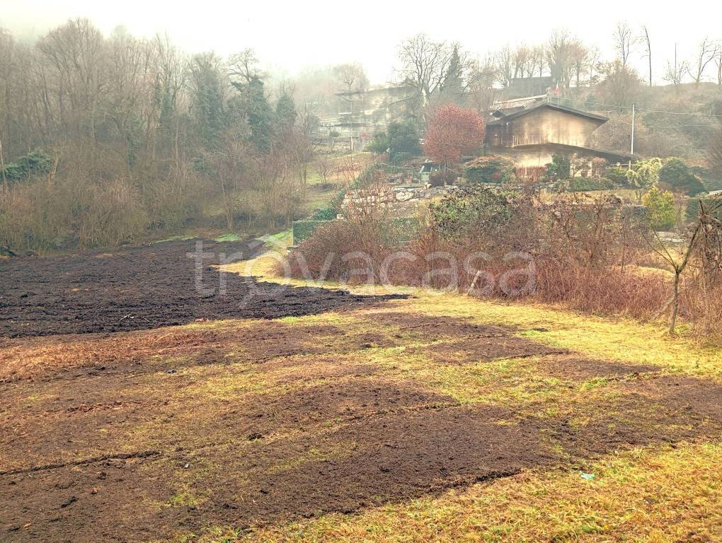 immagine annuncio 4 di 14