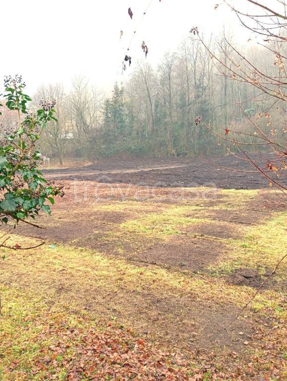 immagine annuncio 9 di 14